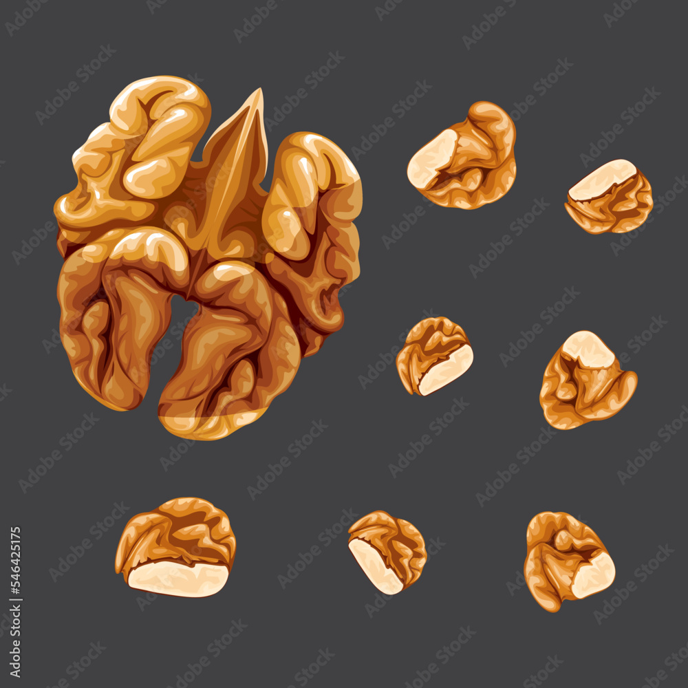Fresh walnut vector illustration and pieces on black background Fresh walnut vector illustration and pieces on black background