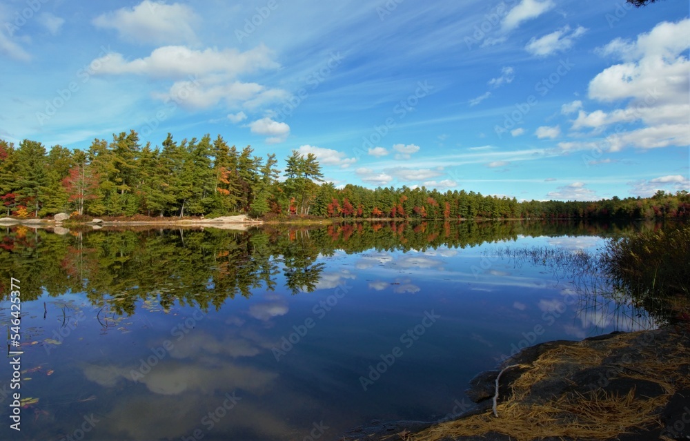 Fototapeta premium The beautiful landscapes of Muskoka, Ontario, Canada during Fall season, full of colorful autumn colors all over the place