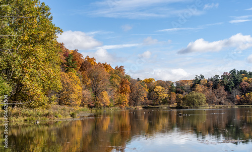Autumn colors at Beebe Lake on the Cornell University campus, Ithaca, New York