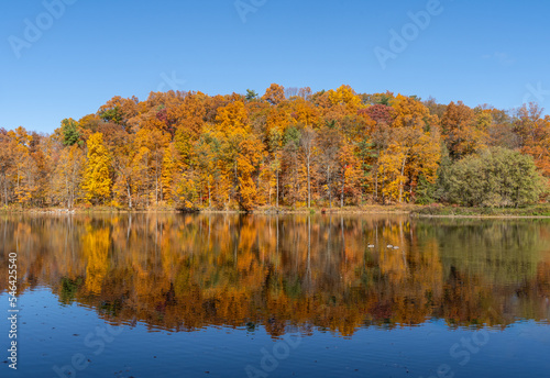 Autumn colors reflect in Beebe Lake on the Cornell University campus in Ithaca, New York