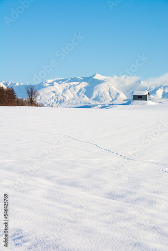 雪原と雪山と青空　十勝岳  © kinpouge