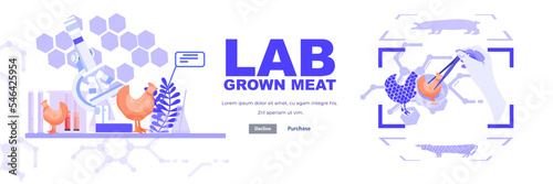 scientists analyzing cultured chicken meat made from animal cells artificial lab grown meat production concept