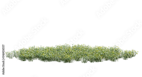 Various types of flowers plants bushes shrub and small plants isolated	
