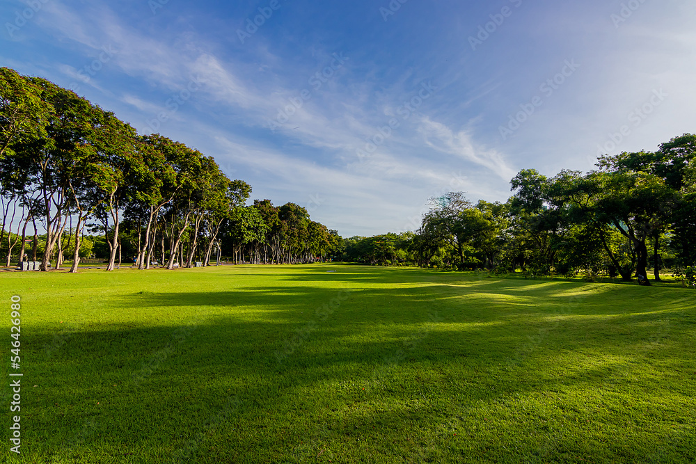 Green beautiful park and blue sky in morning. Green beautiful park and blue sky in morning.