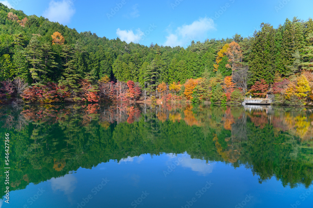秋の美しい紅葉と湖の写真　南伊奈ヶ湖