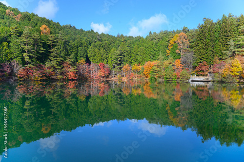 秋の美しい紅葉と湖の写真 南伊奈ヶ湖