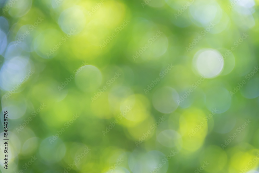 Blurred green natural background and texture for graphic design. Blurred green natural background and texture for graphic design.
