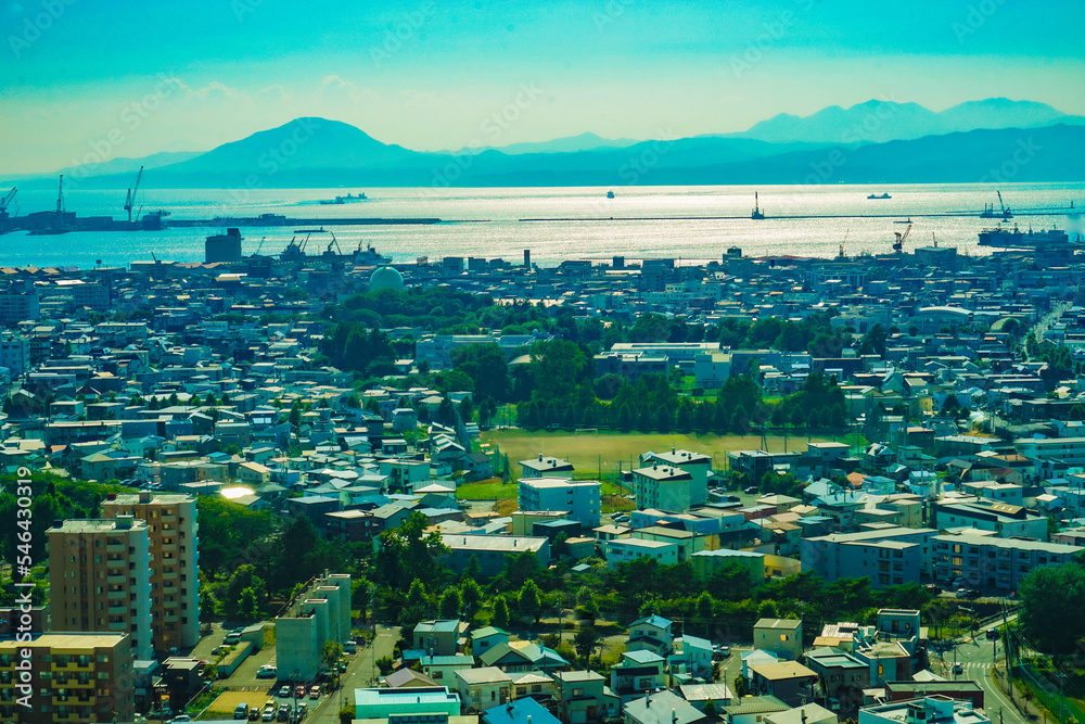 Obraz premium 五稜郭タワーから見える函館の街