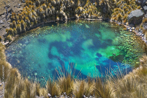 Laguna turquesa paradisiaca en medio de vegetación en los andes peruanos  photo