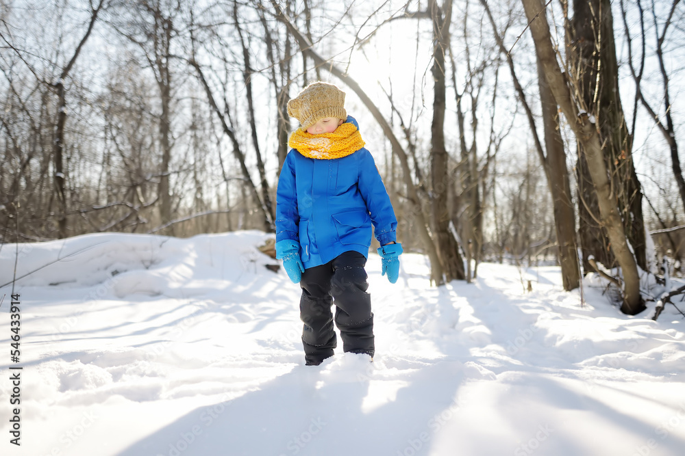 Little boy having fun in forest on sunny winter day. Child dressed in a warm clothes, hat, hand gloves and scarf. Active outdoors leisure for kids on nature among driven snow