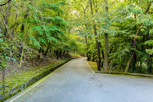 Single lane paved country road photo