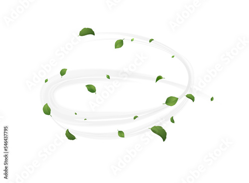 Spiral wind blowing with leaves concept of fresh ecological summer or spring vibe