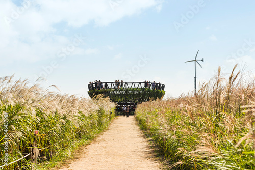 Photography 서울 마포구 하늘공원 갈대밭 전망대 풍경