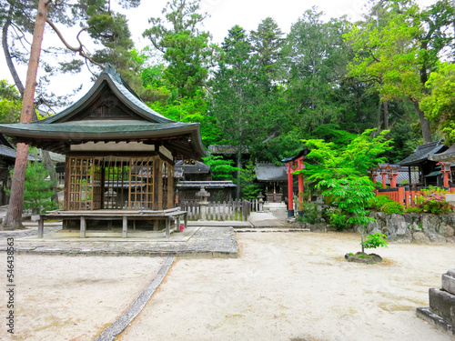 Precincts of Imamiya jinjya Shrine, Kyoto, Japan photo