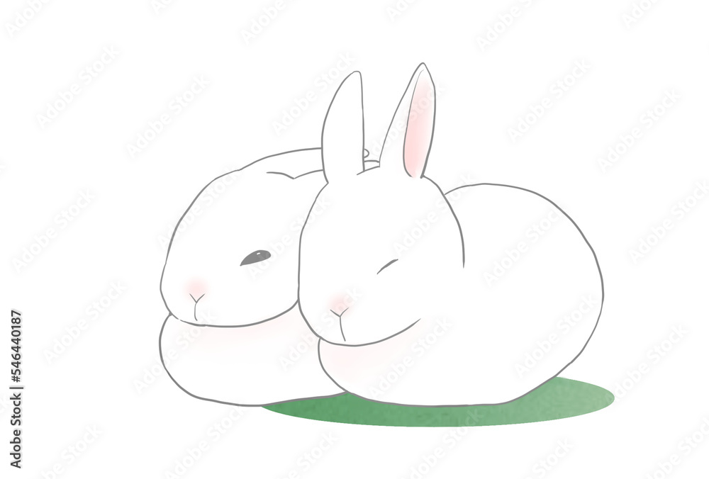 ウサギ　香箱座り