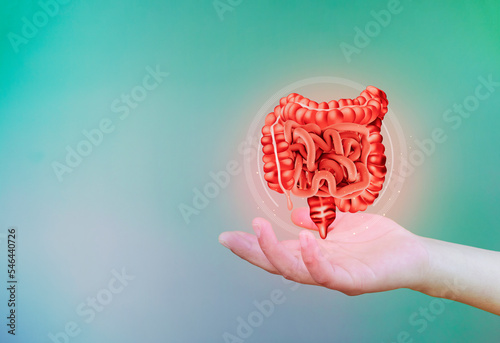 Intestines isolated on emerald green background. Colon cancer, bacteria, virus in the intestine, inflammation, ulcerative colitis, colonoscopy, Diverticulosis and diverticulitis, colon polyps.