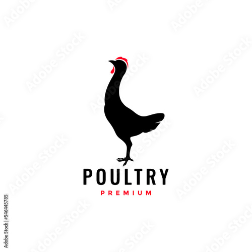 poultry young rooster silhouette modern logo design vector