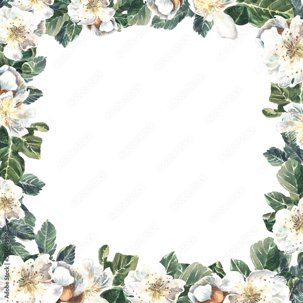 Fototapeta premium Square frame of fig flowers and green leaves on a white background. Watercolor illustration. Isolate