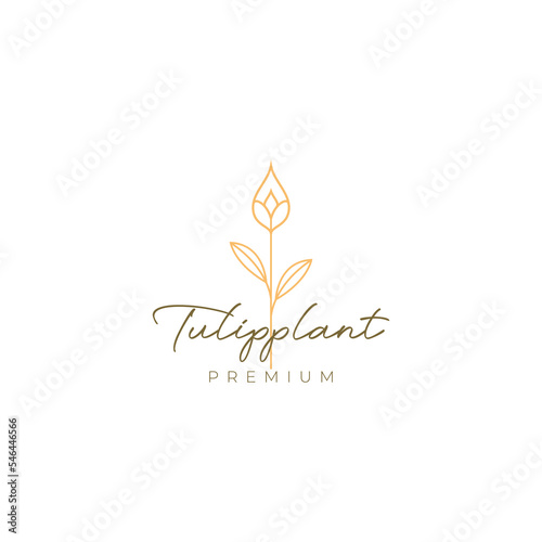 flower tulip plant aesthetic minimal logo design vector