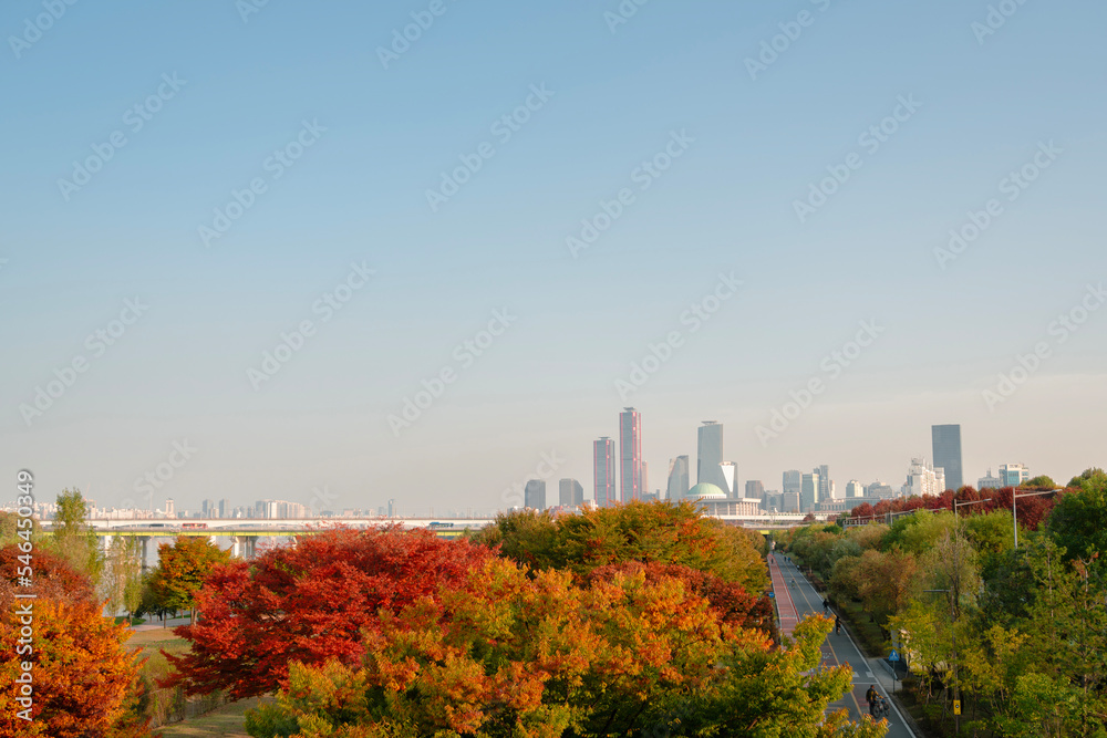 Obraz premium Yeouido city view and Yanghwa Han river park at autumn in Seoul, Korea