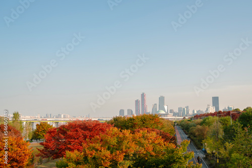 Yeouido city view and Yanghwa Han river park at autumn in Seoul  Korea