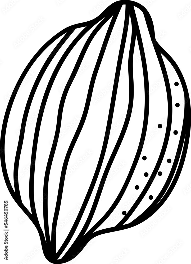Cacao doodle vector Cacao doodle vector