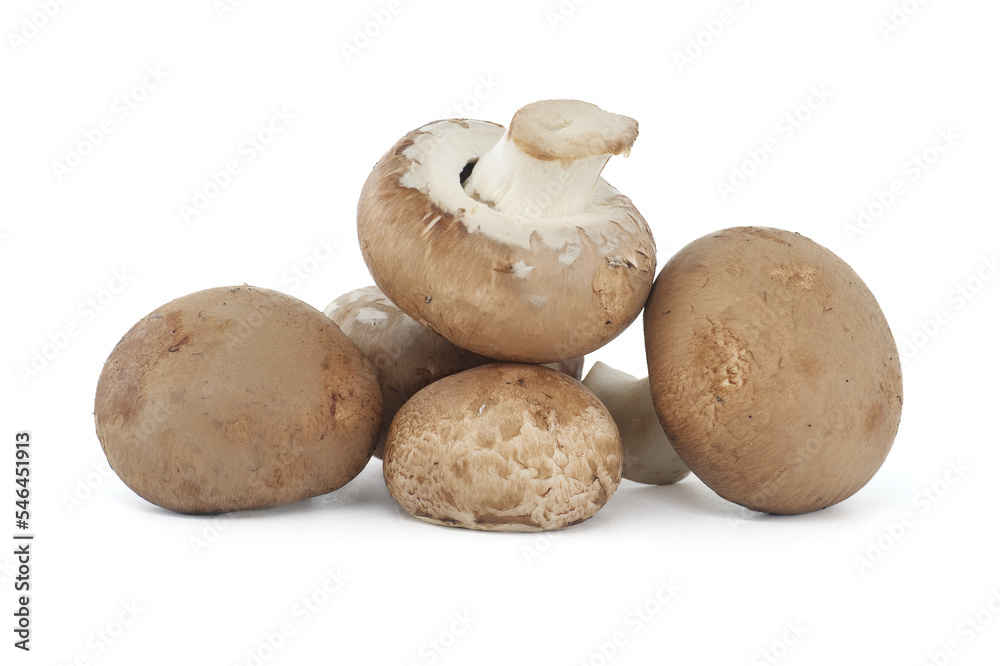 Cremini whole mushrooms isolated on white