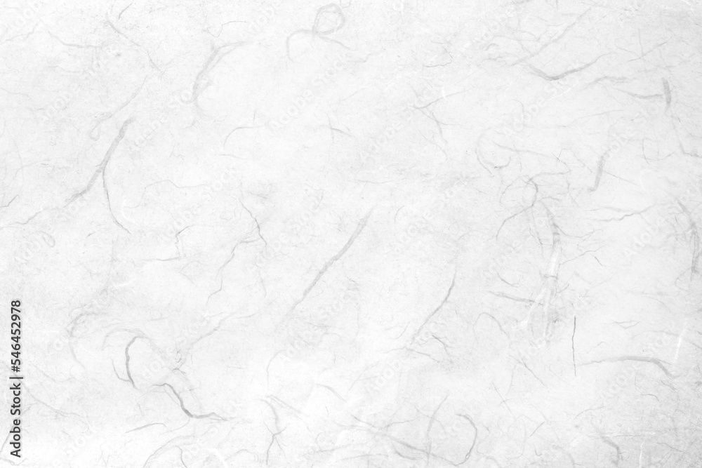 Fototapeta premium White grey mulberry sa paper texture soft patterns abstract on backdrop