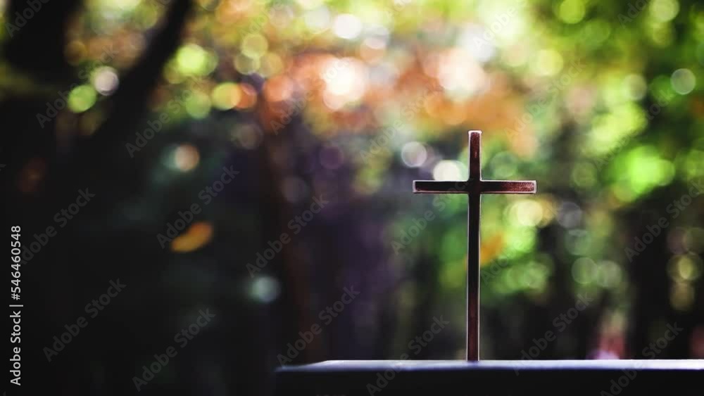 Autumn sparkling tree forest with beautiful fallen leaves, the cross of Jesus Christ and the Bible
