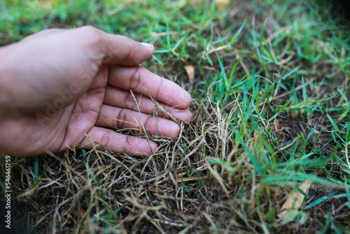 dry grass at hand, touch some grass. I feel lonely and nature.