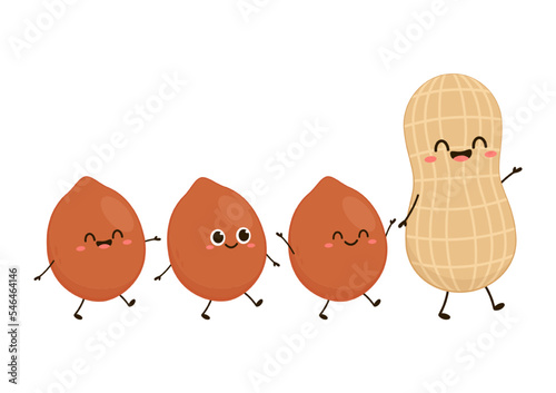 Peanut cartoon vector. Peanut on white background.