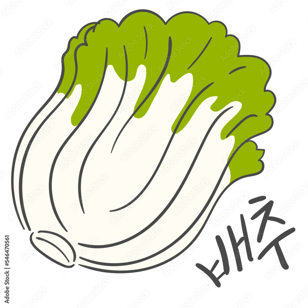 배추 일러스트와 한글 캘리그라피 Stock Vector | Adobe Stock
