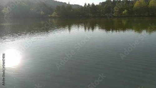 reflection of trees in water