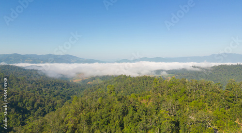 Aerial top view of forest trees and green mountain hills with sea fog, mist and clouds. Nature landscape background, Thailand. © tampatra