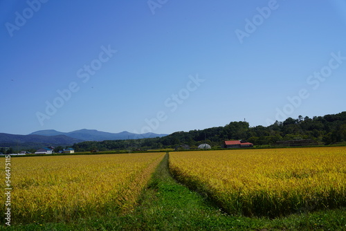 Canvas Print Niseko Hokkaido
