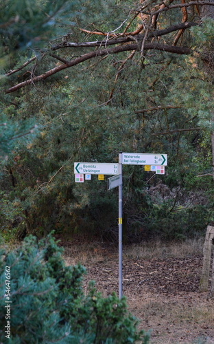 Trail in the Heath Tietlinger Heide, Lower Saxony photo