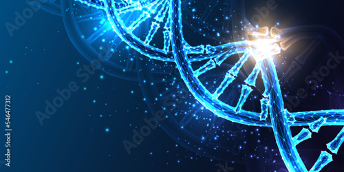 Abstract DNA helix structure banner in futuristic glowing low polygonal style on dark blue background