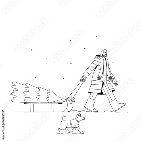 A man with a dog is carrying a Christmas tree on a sleigh.