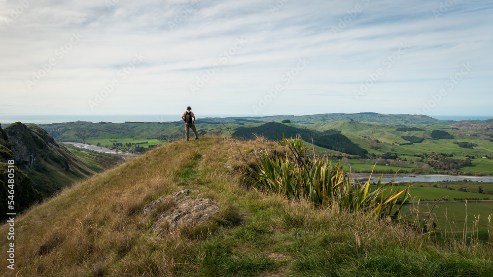 Φωτογραφία Man standing on the hilltop of Te Mata Peak track, looking at the views of surrounding Hawke’s bay region