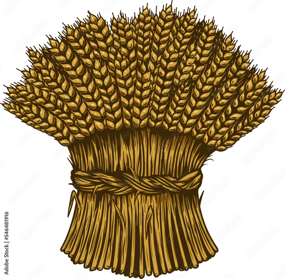 Illustration of wheat sheaf in engraving style. Design element for card, banner, menu. Vector illustration