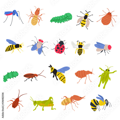 Colorful set of insects. Flat hand drawn illustrations on white background. © Igor
