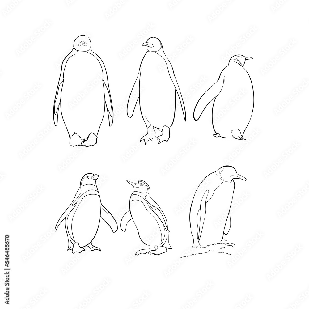 Obraz premium ペンギンの線画 Penguin line drawing