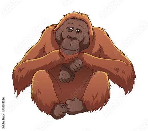 Orangutan Cartoon Animal Illustration