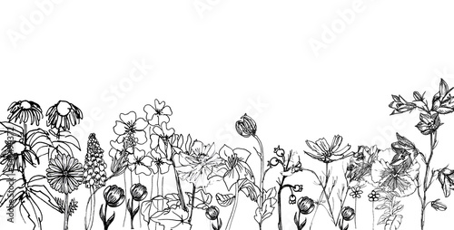 Banner con fiori neri misti, illustrazione isolata su sfondo bianco photo