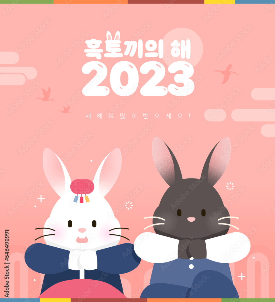 2023 Gyemyo Year Rabbit Character Illustration 
