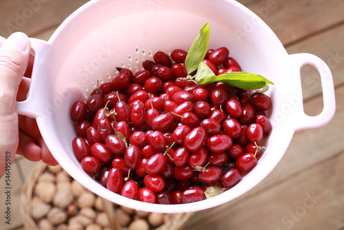 Ripe red dogwood in a bowl
