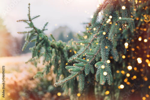 Outdoor christmas tree background with glittering lights from garlands.
