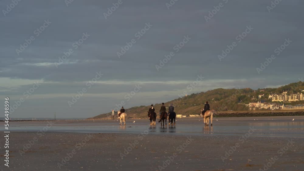 Group Of Equestrians Riding Horses At Sunset on the Beach in Deauville - wide Group Of Equestrians Riding Horses At Sunset on the Beach in Deauville - wide