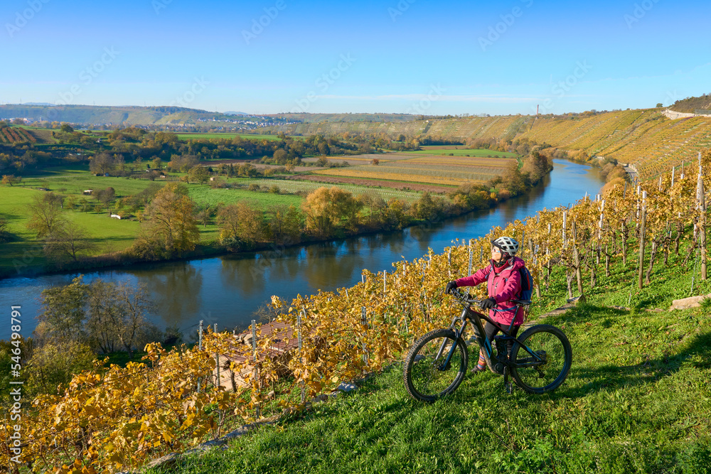 Obraz premium nice senior woman riding her electric mountain bike in the steep autumnal colored vineyards of River Neckar Valley,Baden-Wuerttemberg, Germany