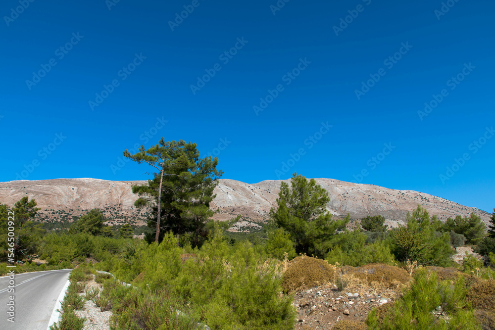 Panoramic view of typical greek mediterranean landscape with Attavyros mountain. Fir trees and bushes. Tourism and vacations concept. Rhodos Island, Greece.
